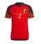 Belgia Toby Alderweireld #2 Hjemmedrakt VM 2022 Kortermet