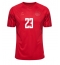 Danmark Pierre-Emile Hojbjerg #23 Hjemmedrakt VM 2022 Kortermet
