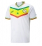 Senegal Hjemmedrakt VM 2022 Kortermet